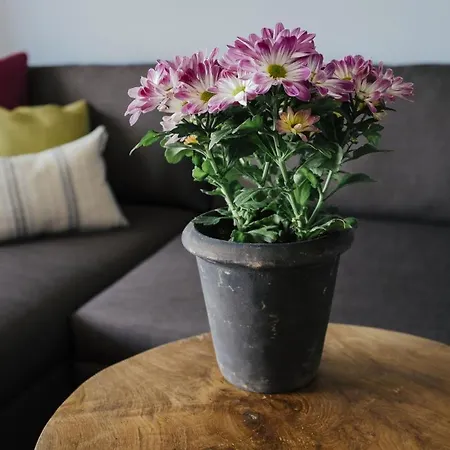 Meerblick Lemkenhafen - Fehmarn